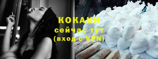 мдпв Карпинск