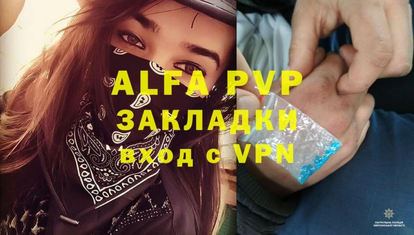 мдпв Карпинск