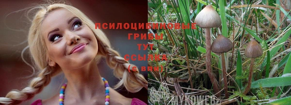 трава Киренск