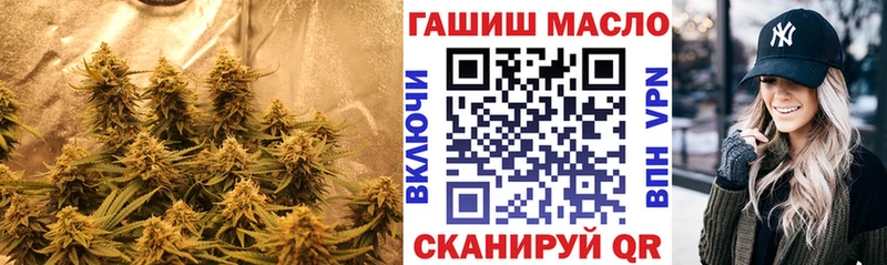 закладки  Ишим  ТГК гашишное масло 